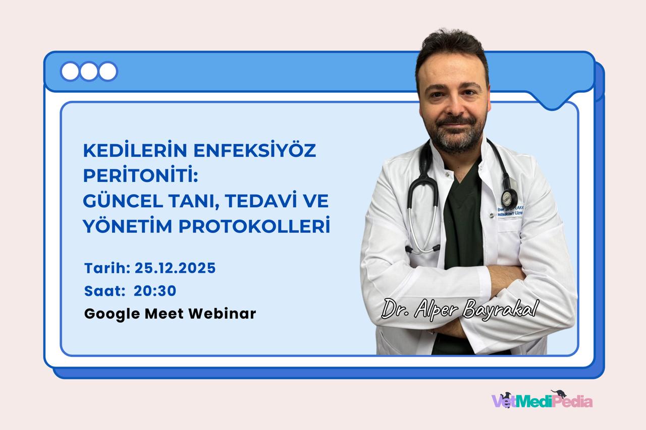 Kedilerin Enfeksiyöz Peritoniti: Güncel Tanı, Tedavi ve Yönetim Protokolleri