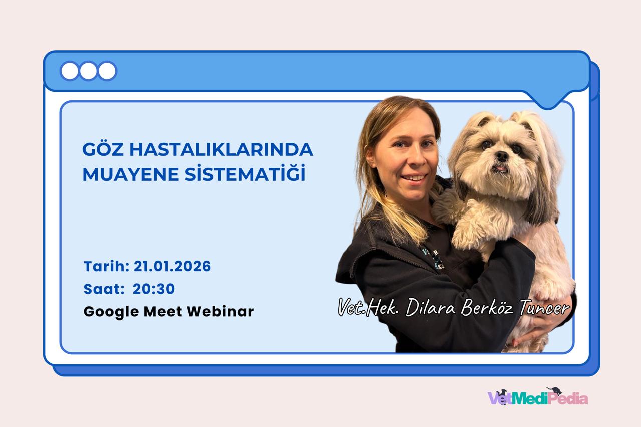 Göz Hastalıklarında Muayene Sistematiği