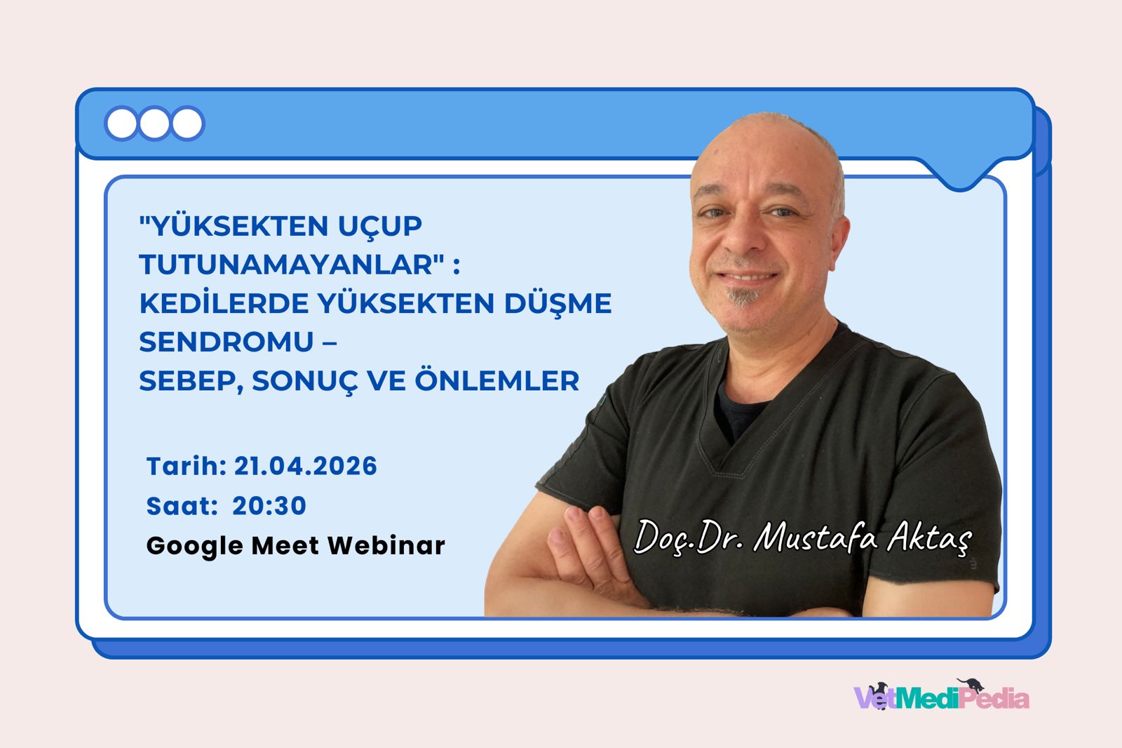 Yüksekten Uçup Tutunamayanlar: Kedilerde Yüksekten Düşme Sendromu – Sebep, Sonuç ve Önlemler