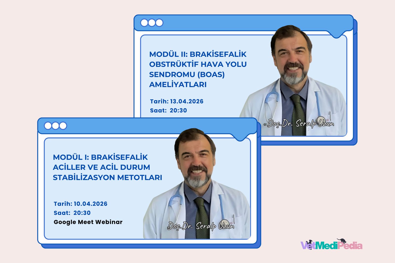 Brakisefalik Aciller ve BOAS Ameliyatları