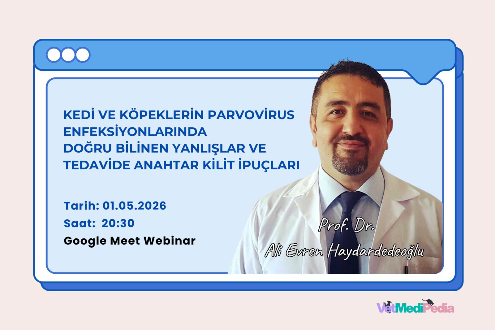 Kedi ve Köpeklerin Parvovirus Enfeksiyonlarında Doğru Bilinen Yanlışlar ve Tedavide Anahtar Kilit İpuçları