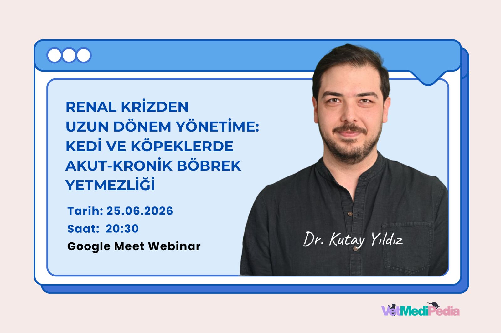 Renal Krizden Uzun Dönem Yönetime: Kedi ve Köpeklerde Akut-Kronik Böbrek Yetmezliği