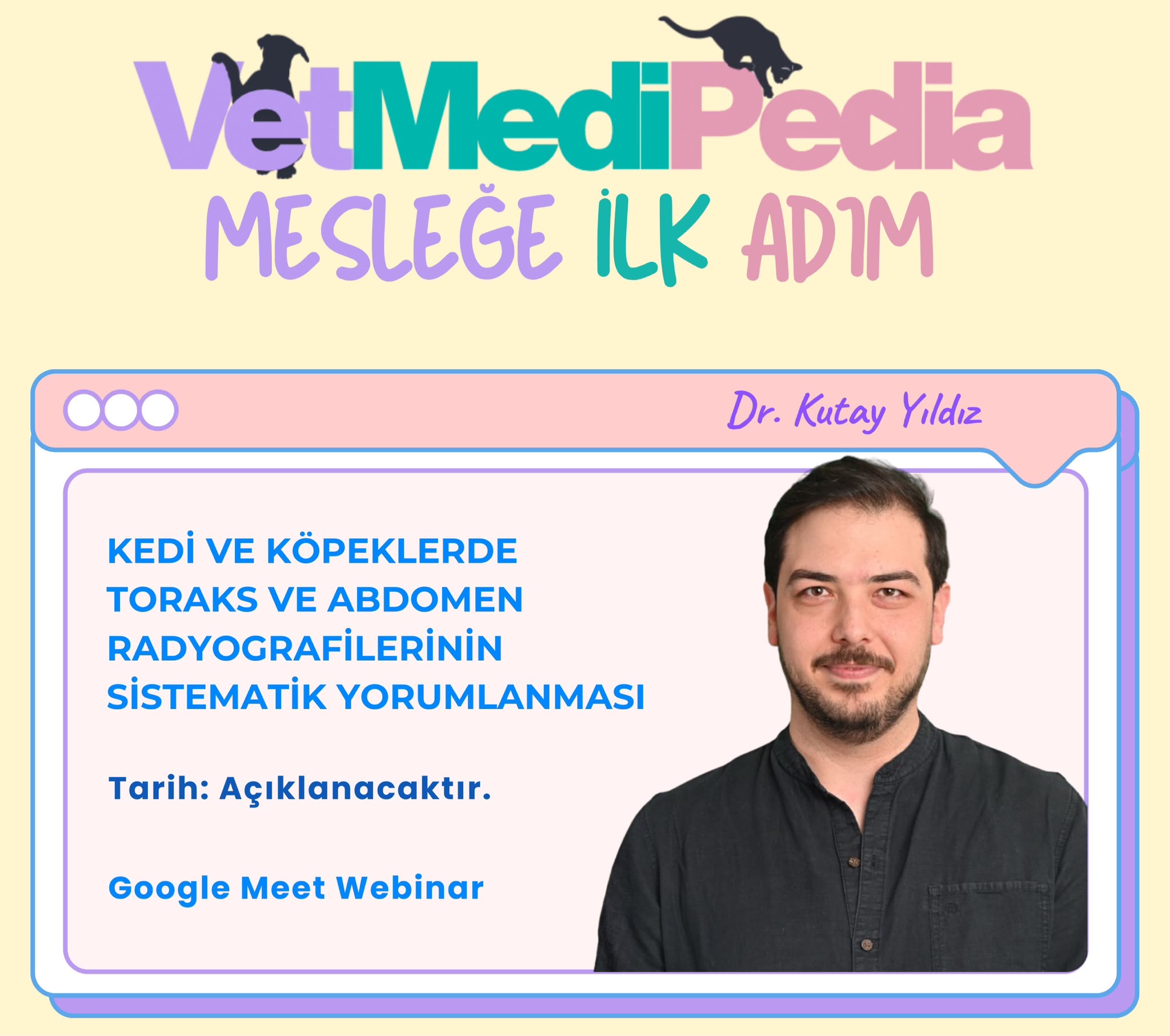 Kedi ve Köpeklerde Toraks ve Abdomen Radyografilerinin Sistematik Yorumlanması
