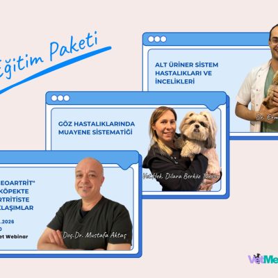 VetMediPedia 3’lü Eğitim Paketi