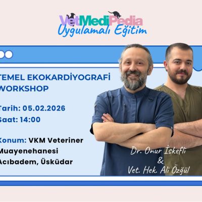 Temel Ekokardiyografi Workshop
