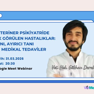 Veteriner Psikiyatride Sık Görülen Hastalıklar: Tanı, Ayırıcı Tanı ve Medikal Tedaviler