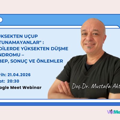 Yüksekten Uçup Tutunamayanlar: Kedilerde Yüksekten Düşme Sendromu – Sebep, Sonuç ve Önlemler