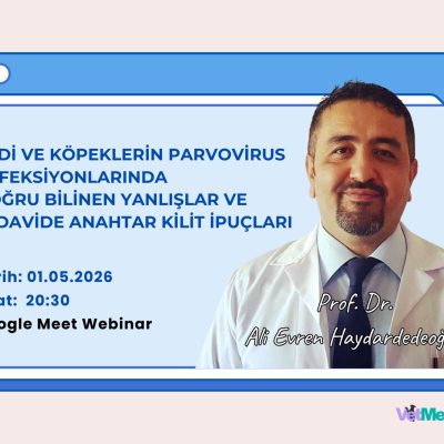 Kedi ve Köpeklerin Parvovirus Enfeksiyonlarında Doğru Bilinen Yanlışlar ve Tedavide Anahtar Kilit İpuçları