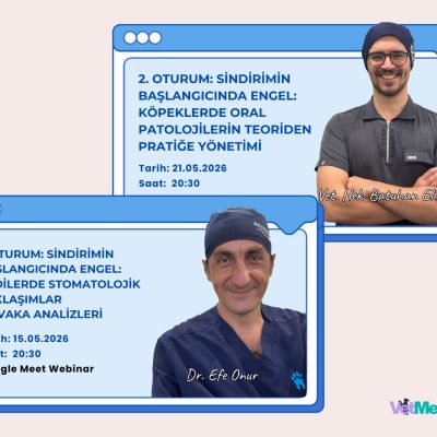 Sindirimin Başlangıcında Engel