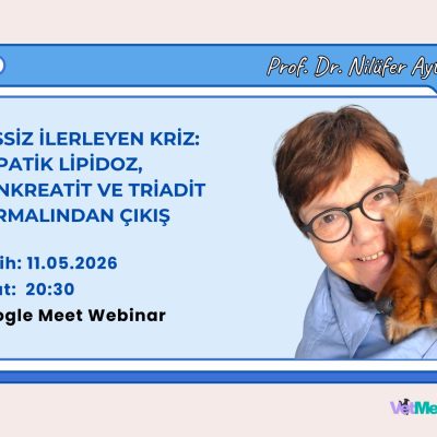 Sessiz İlerleyen Kriz: Hepatik Lipidoz, Pankreatit ve Triadit Sarmalından Çıkış