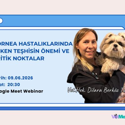Kornea Hastalıklarında Erken Teşhisin Önemi ve Kritik Noktalar