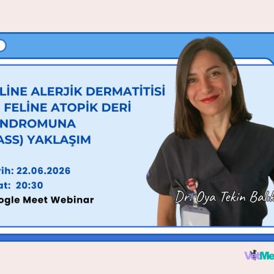 Feline Alerjik Dermatitisi ve Feline Atopik Deri Sendromuna (FASS) Yaklaşım