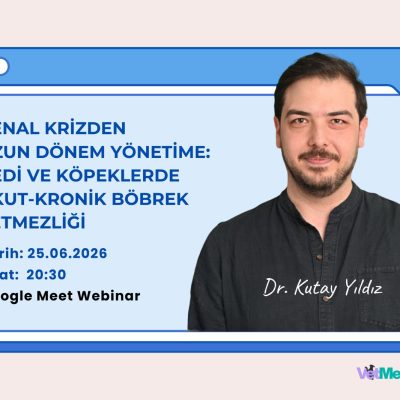 Renal Krizden Uzun Dönem Yönetime: Kedi ve Köpeklerde Akut-Kronik Böbrek Yetmezliği