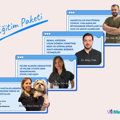 VetMediPedia 4’lü Eğitim Paketi 
