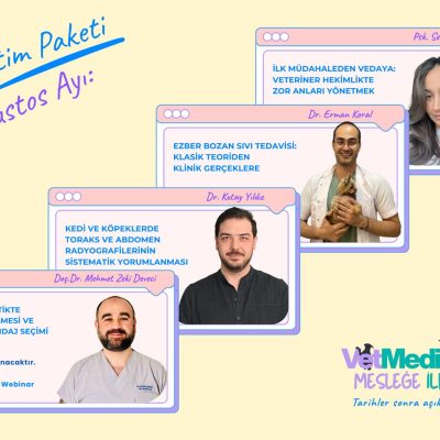 Mesleğe İlk Adım Kampı – Ağustos