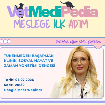 Tükenmeden Başarmak: Klinik, Sosyal Hayat ve Zaman Yönetimi Dengesi