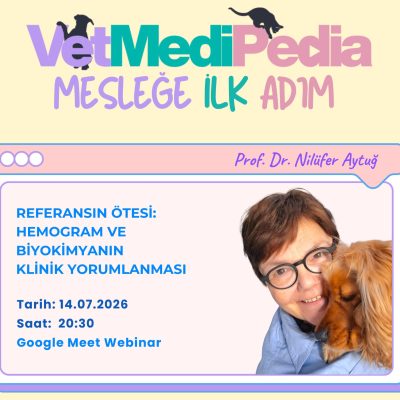 Referansın Ötesi: Hemogram ve Biyokimyanın Klinik Yorumlanması