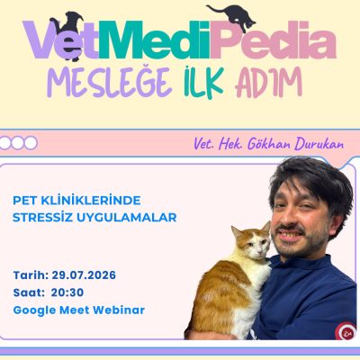 Pet Kliniklerinde Stressiz Uygulamalar