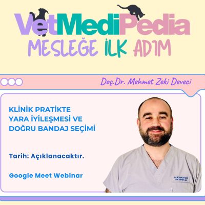 Klinik Pratikte Yara İyileşmesi ve Doğru Bandaj Seçimi