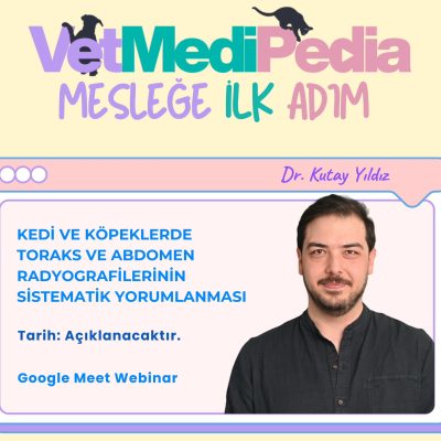 Kedi ve Köpeklerde Toraks ve Abdomen Radyografilerinin Sistematik Yorumlanması