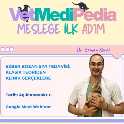 Ezber Bozan Sıvı Tedavisi: Klasik Teoriden Klinik Gerçeklere