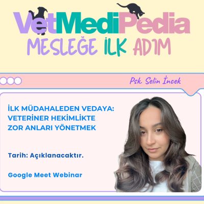 İlk Müdahaleden Vedaya: Veteriner Hekimlikte Zor Anları Yönetmek